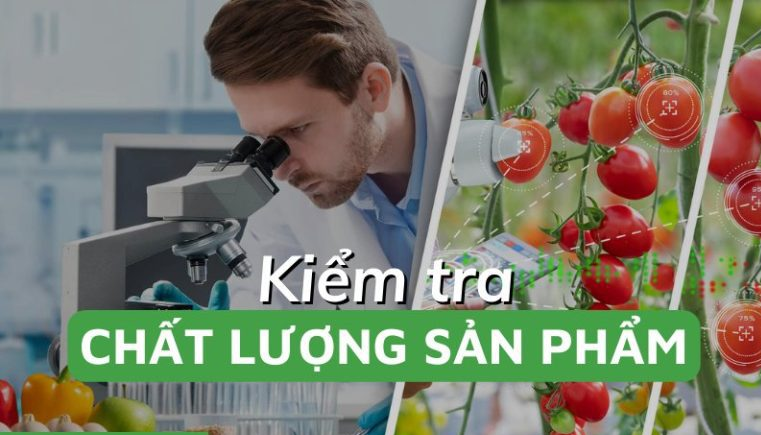 cao dang cong nghe thuc pham 3 4