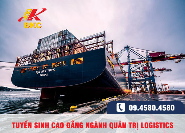 Ngành Logistics có phù hợp với nữ không? Nganh-logistics-co-hoi-va-phat-trien