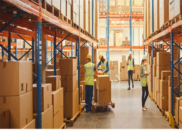  Cao đẳng Quản trị Logistics 