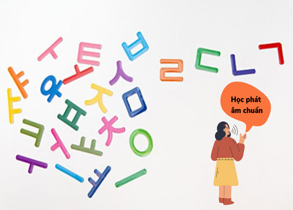 Có nên học Cao đẳng Ngôn ngữ Hàn trong năm 2026 không? grgrhgrh