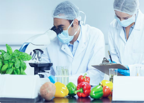 Tốt nghiệp Cao đẳng Công nghệ thực phẩm làm việc ở đâu? Cơ hội việc làm & triển vọng nghề nghiệp rerq2