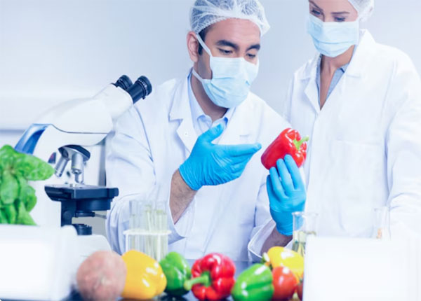 THÔNG BÁO TUYỂN SINH CAO ĐẲNG CÔNG NGHỆ THỰC PHẨM NĂM 2026 try4